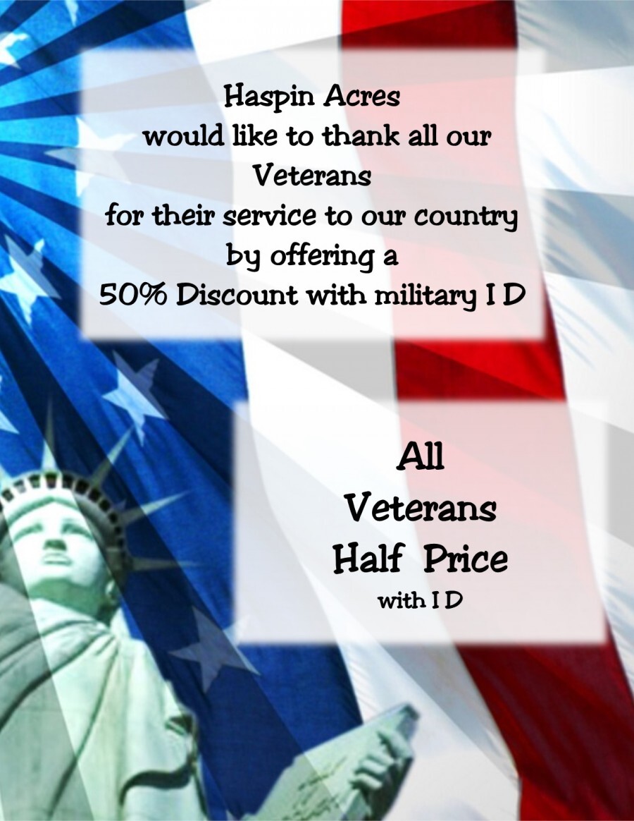 Haspin Acres honors our Vets by offering half price with military ID poster with Statue of Liberty and US flag background